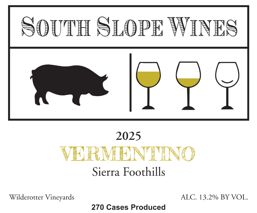 Product Image for 2025 Vermentino Bottle